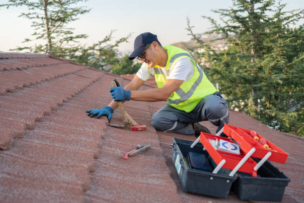 Best Roof Gutter Cleaning  in Gettysburg, SD
